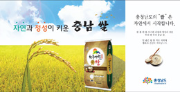 배너