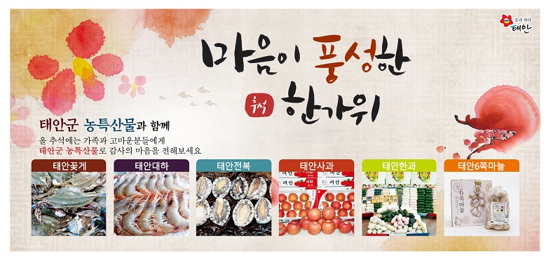 배너