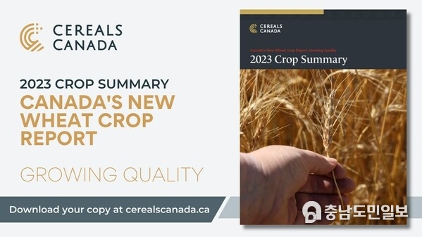 View the 2023 New Wheat Crop Report and download the Crop Summary at cerealscanada.ca (CNW Group/Cereals Canada) View the 2023 New Wheat Crop Report and download the Crop Summary at cerealscanada.ca (CNW Group/Cereals Canada)