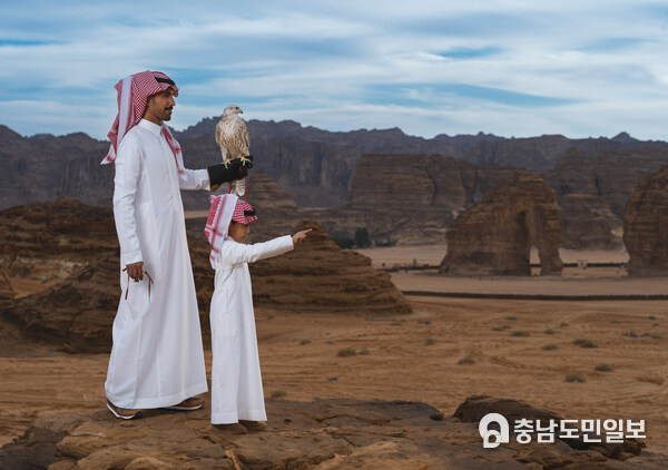 Saudi-based and international falconers compete for a record total prize pot of SAR 60m at the first-ever AlUla Falcon Cup. Saudi-based and international falconers compete for a record total prize pot of SAR 60m at the first-ever AlUla Falcon Cup.
