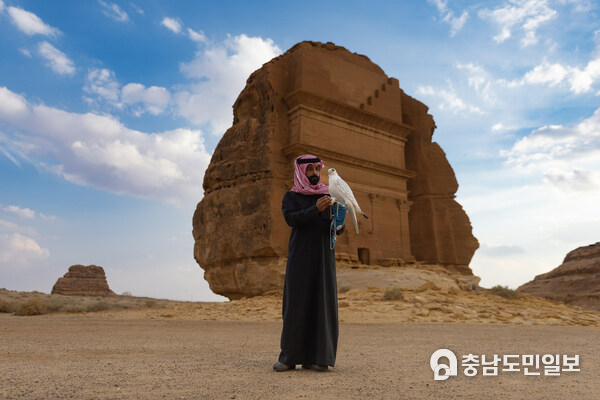 Saudi-based and international falconers compete for a record total prize pot of SAR 60m at the first-ever AlUla Falcon Cup. Saudi-based and international falconers compete for a record total prize pot of SAR 60m at the first-ever AlUla Falcon Cup.