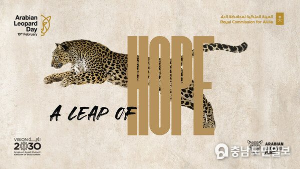 The Royal Commission for AlUla (RCU) celebrates International Arabian Leopard Day with a 'Leap of Hope' The Royal Commission for AlUla (RCU) celebrates International Arabian Leopard Day with a 'Leap of Hope'