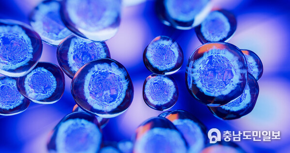 New CAS BioFinder Discovery Platform empowers drug discovery scientists to reveal insights, drive innovation, and save time New CAS BioFinder Discovery Platform empowers drug discovery scientists to reveal insights, drive innovation, and save time