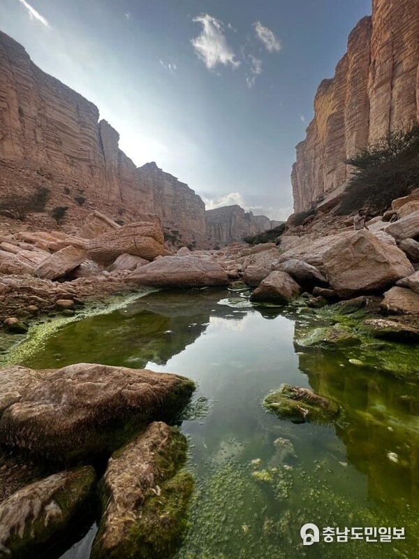 FIRST SAUDI PROTECTED AREA LISTSED ON IUCN GREEN LIST – IBEX PROTECTED AREA, JUST SOUTH OF RIYADH JOINS THE LIST WHICH SETS THE GLOBAL STANDARD FOR PROTECTED AND CONSERVED AREAS. FIRST SAUDI PROTECTED AREA LISTSED ON IUCN GREEN LIST – IBEX PROTECTED AREA, JUST SOUTH OF RIYADH JOINS THE LIST WHICH SETS THE GLOBAL STANDARD FOR PROTECTED AND CONSERVED AREAS.