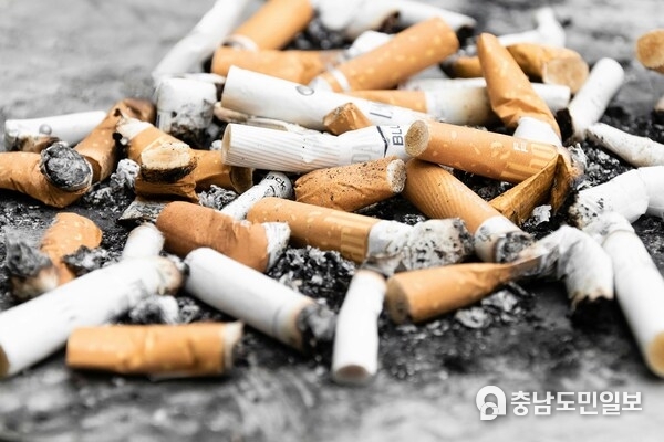 "The Global State of Tobacco Harm Reduction 2024: A Situation Report" says safer nicotine products, such as nicotine vapes, snus, heated tobacco products and nicotine pouches, have the potential to stub out the cigarette for good. Photo credit: Pawel Czerwinski "The Global State of Tobacco Harm Reduction 2024: A Situation Report" says safer nicotine products, such as nicotine vapes, snus, heated tobacco products and nicotine pouches, have the potential to stub out the cigarette for good. Photo credit: Pawel Czerwinski