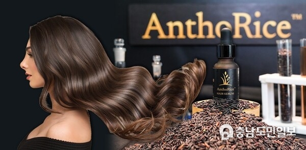 쭐랄롱꼰대학교, 모근 과학의 혁신 AnthoRice™ Complex 공개 쭐랄롱꼰대학교, 모근 과학의 혁신 AnthoRice™ Complex 공개