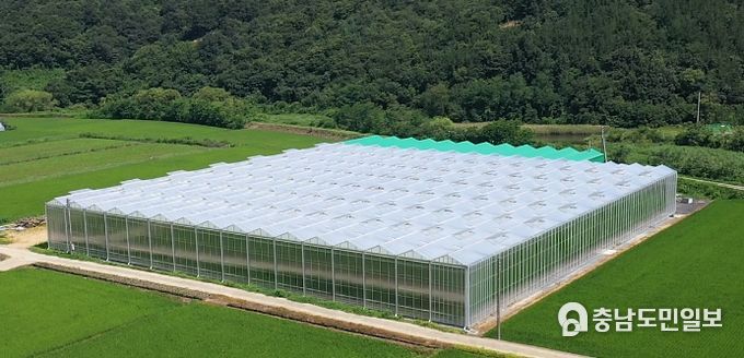 청라면 스마트팜 농가(그린몬스터즈) 사진