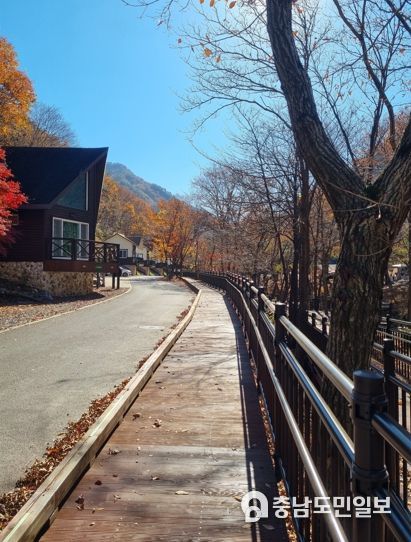 금산산림문화타운 무장애나눔길