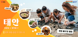배너