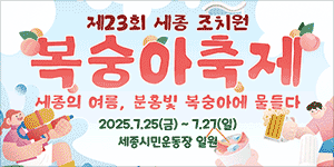 배너
