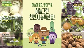 배너
