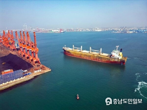 Loaded with Russia-imported coal, a cargo ship departs from Longkou Port in east China's Shandong Province to Jingjiang Port in east China's Jiangsu Province. (Photo provided by Longgang sub-district office of Longkou Economic Development Zone)