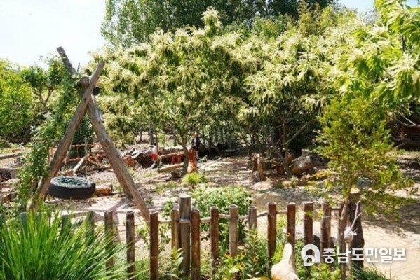 Photo provided to Xinhua shows chestnut blossoms in Mengzhuang Town