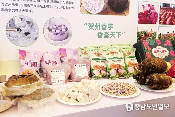 Photo shows Hezhou Taro on display at the booth of the 2024 Boao Forum.