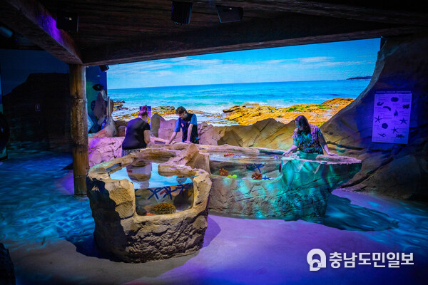New Rockpool at SEA LIFE Sydney Aquarium