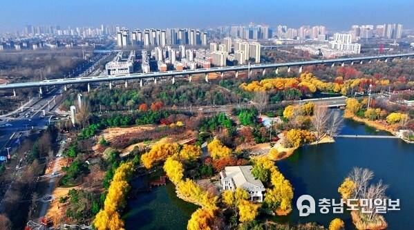 Photo shows the colorful winter scenary of Longtan park in Zaozhuang City, east China's Shandong Province. (Photo/Chen Hua)