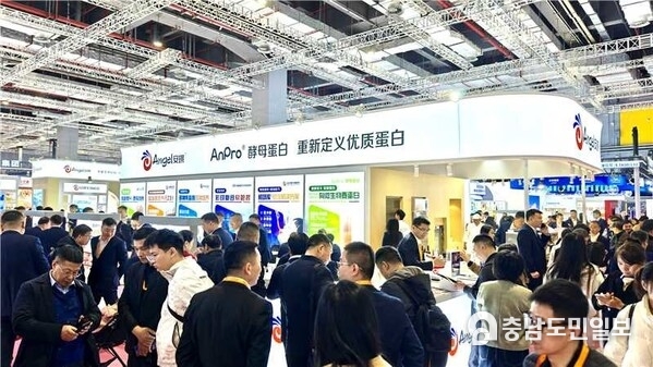 FIC2025：Angel Yeast Leads Health-conscious Trends with China's First Approved Microbial Protein