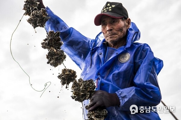 A Taiwanese oyster farmer contributes to a circular future — his discarded shells are transformed into Seawool®, a sustainable and high-performance textile.