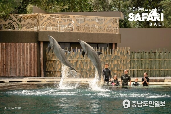 Marine Safari Bali: Adventure & Unforgettable Experiences