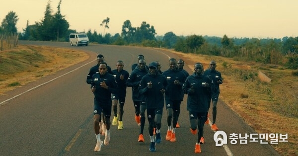 The dsm-firmenich Running Team