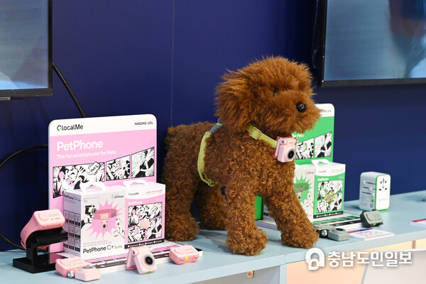 공감 기반 신시장 혁신 공개: 펫포고 생태계