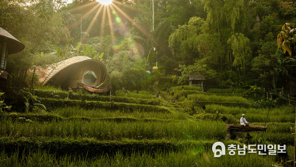 Surrounded by sweeping rice fields and overlooking a gentle river, the New Moon House embodies the essence of bamboo living, open, organic, and intimately connected to Bali’s timeless landscape.