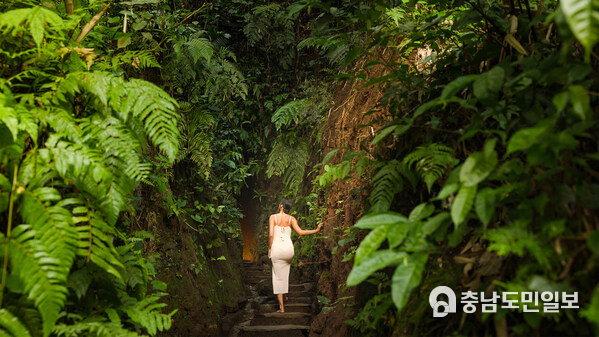 At Bambu Indah, adventure unfolds in its purest form, raw nature, untouched beauty, and immersive experiences that celebrate the spirit of the land.
