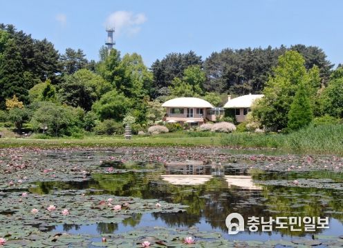 천리포수목원 모습