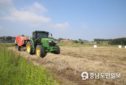 사료작물 수확 모습.
