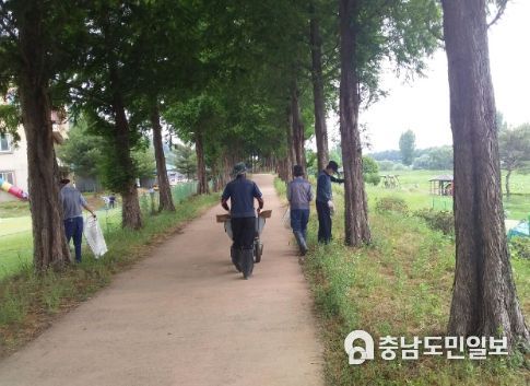 공주시, 정안천 생태공원 돌발병해충 퇴치 총력