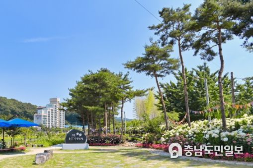 지난해 사진