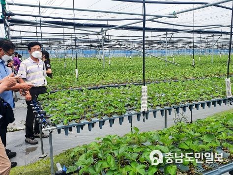 서산시 농업인대학 딸기 교육과정