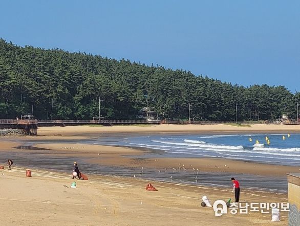 22일 만리포에서 환경정화 활동을 펼치는 모습