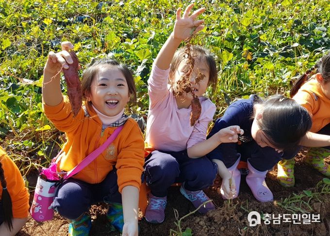 천안시, 2022년 하반기 어린이농촌체험교실 참가자 모집