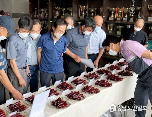18일 안면읍 행정복지센터 내 강당에서 진행된 고추분야 시범사업 평가회 모습.