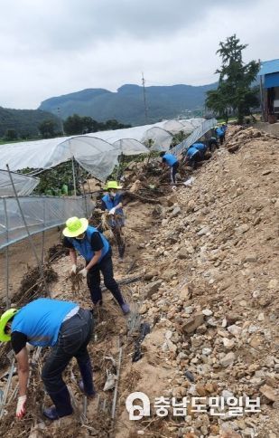 충남공무원노조 수해복구 봉사활동