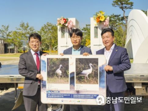 서산시, 천연기념물 황새 단계적 방사장 황새 입식