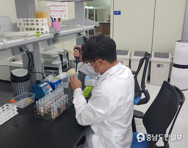 농산물 잔류농약 분석 모습