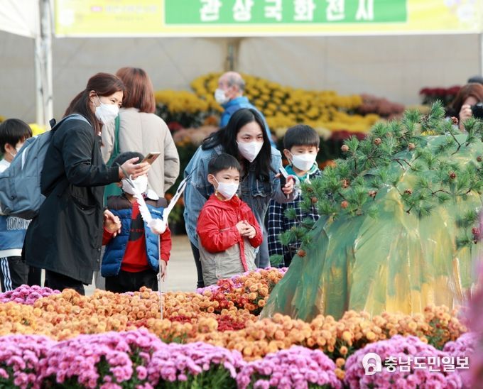 지난해 원북면 옥파 이종일 생가지에서 열린 제9회 태안 국화축제(전시회) 모습