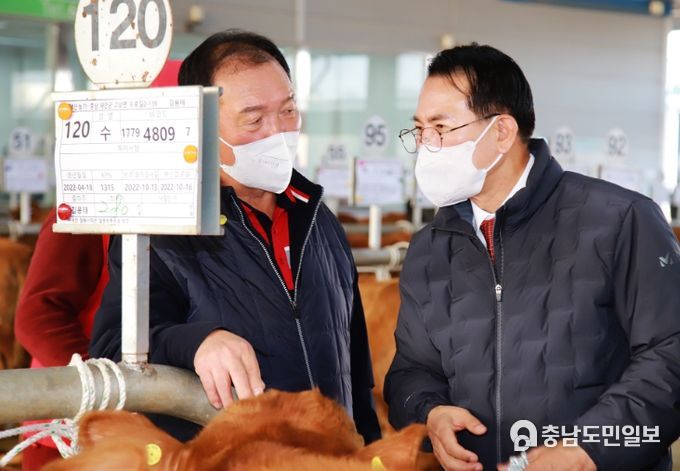 18일 이완섭 서산시장이 음암면 상홍리에 있는 가축경매시장을 방문해 한우농가와 축산관계자를 격려했다