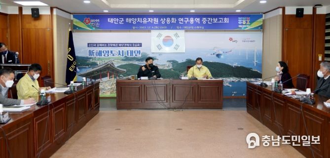 6일 군청 소회의실에서 열린 ‘해양치유 자원 상용화 연구용역 중간보고회’ 모습.