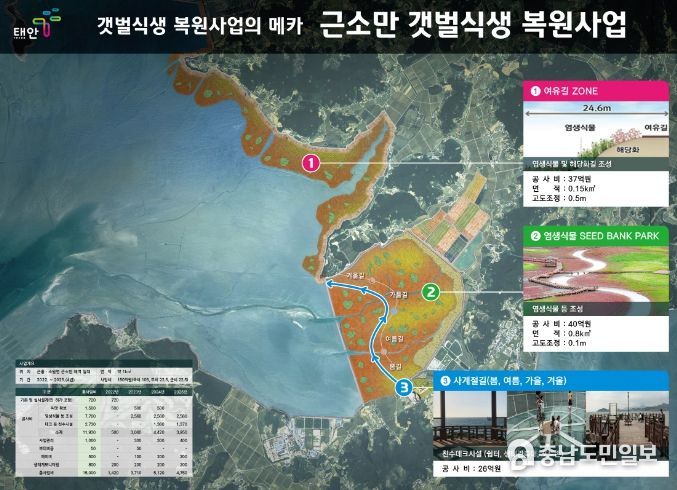 근소만 갯벌식생 복원 사업 계획도