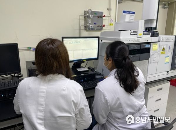 로컬푸드 농산물 잔류농약 검사 모습