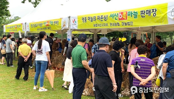 2019년 서산6쪽마늘축제 사진