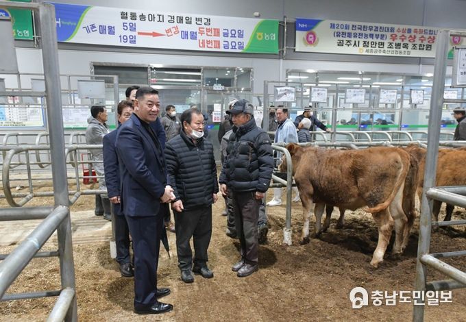 최원절 공주시장, 설 앞두고 가축시장 현장 방문