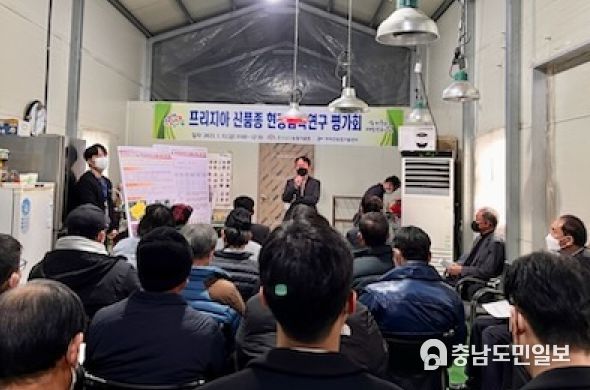 프리지아 현장평가회