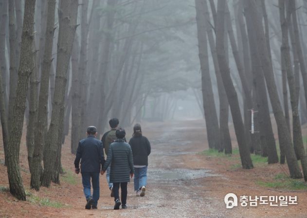 태안군 걷기길 모습