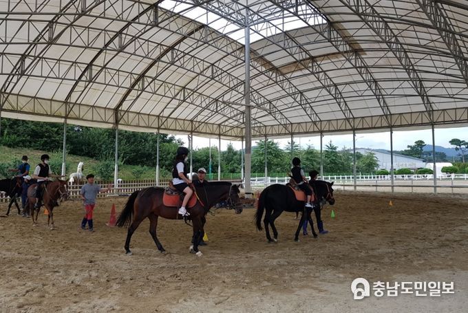 홍성군 승마장에 오면 동물과 교감하며 재활해요~