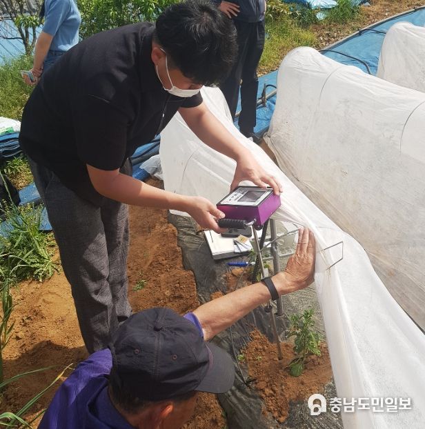 서산시청 공무원들이 지난해 대산읍 고추재배 농가를 찾아가 영농현장 일제 출장의 날을 운영하는 모습