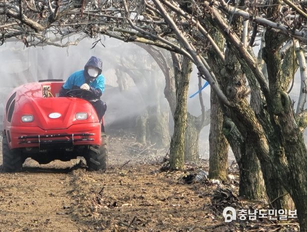 개화기 약제방제
